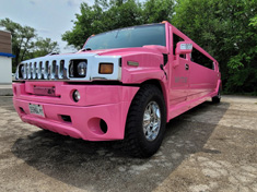 Hummer - Pink Panther