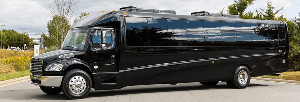 Executive Bus Limo