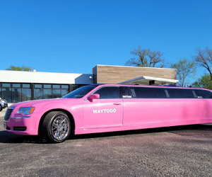 Way to go limousine